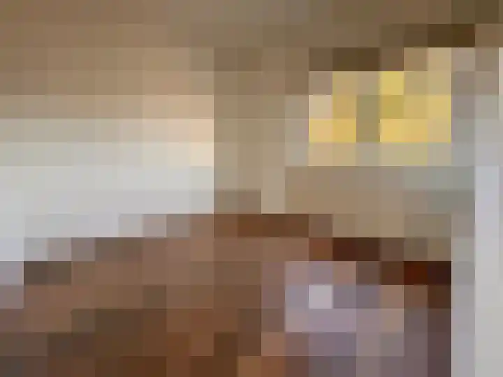 Hermelijnhof 36 Zeewolde thumbnail 22