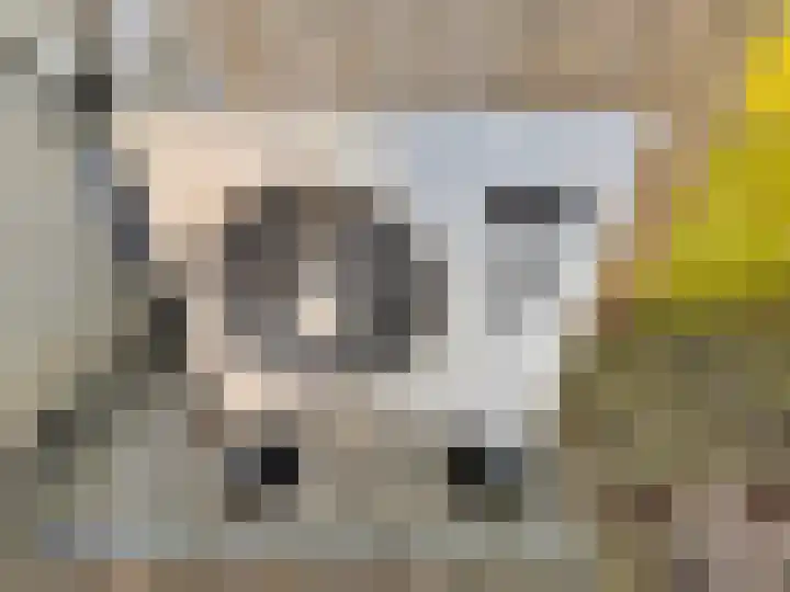 Hermelijnhof 36 Zeewolde thumbnail 35
