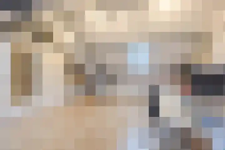 Hermelijnkwartier 34 Cuijk thumbnail 26