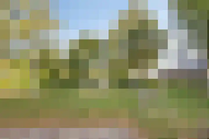 Hermelijnkwartier 34 Cuijk thumbnail 33