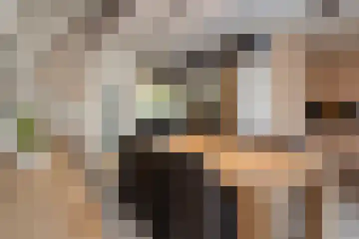 Hermelijnkwartier 36 Cuijk thumbnail 13