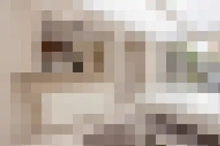 Hermelijnkwartier 36 Cuijk thumbnail 17