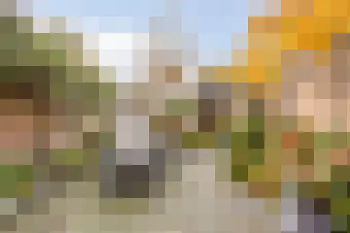 Hermelijnkwartier 36 Cuijk thumbnail 32