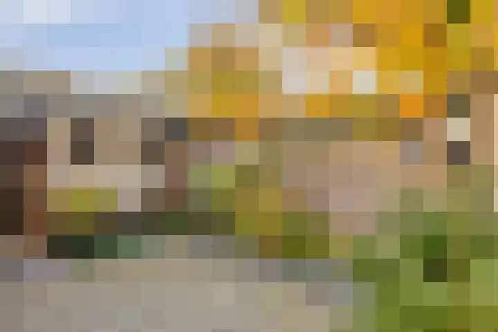 Hermelijnkwartier 36 Cuijk thumbnail 33