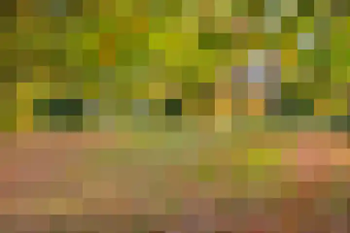 Hermelijnkwartier 36 Cuijk thumbnail 39