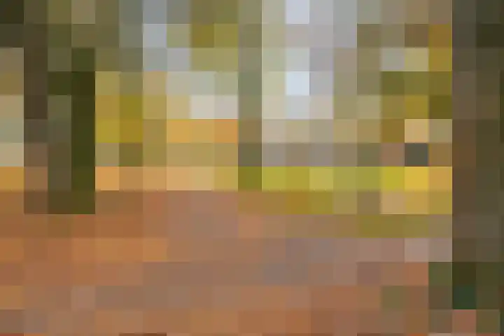 Hermelijnkwartier 36 Cuijk thumbnail 40