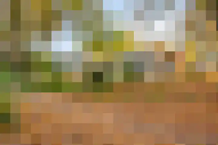 Hermelijnkwartier 36 Cuijk thumbnail 41