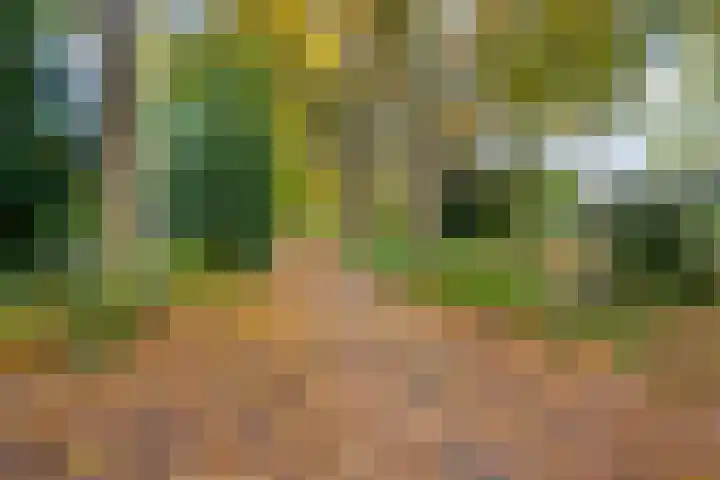 Hermelijnkwartier 36 Cuijk thumbnail 42