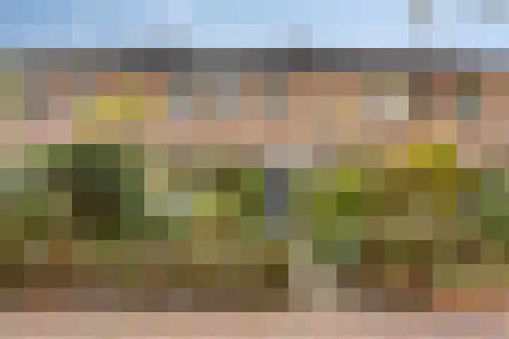 Hermelijnkwartier 36 Cuijk thumbnail 5