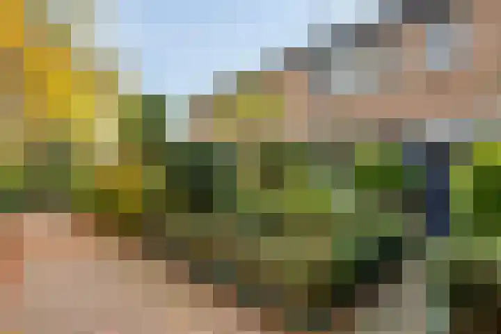 Hermelijnkwartier 36 Cuijk thumbnail 6