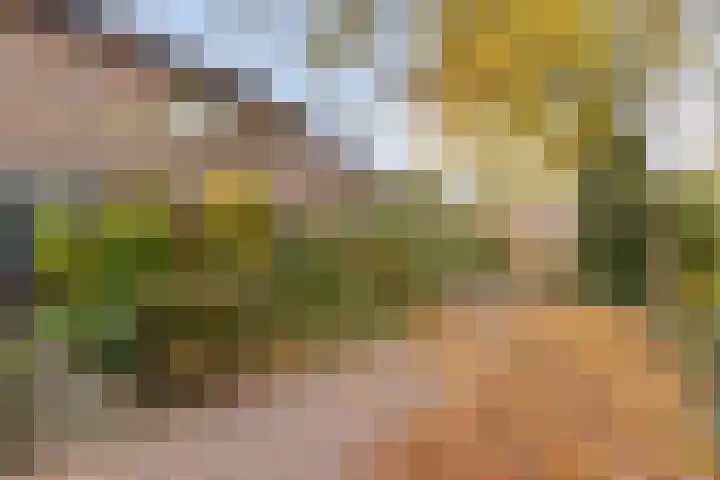 Hermelijnkwartier 36 Cuijk thumbnail 7