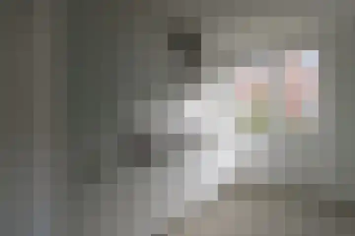 Hermelijnkwartier 44 a Cuijk thumbnail 13