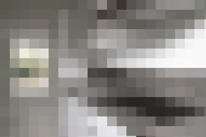 Hermelijnkwartier 44 a Cuijk thumbnail 15