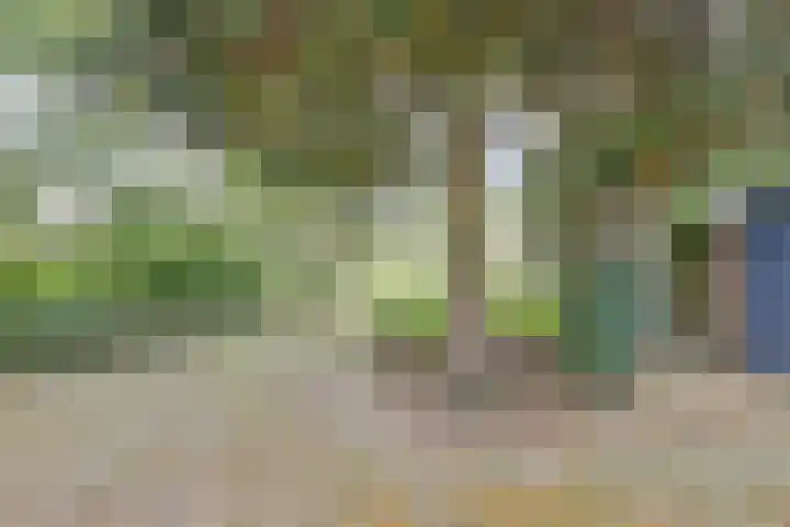 Hermelijnkwartier 68 Cuijk thumbnail 10