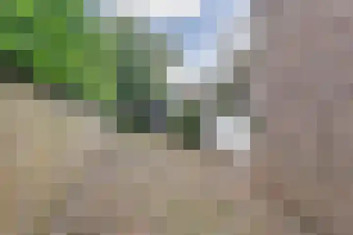 Hermelijnkwartier 68 Cuijk thumbnail 11
