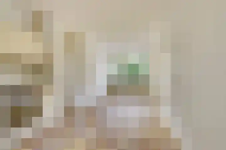 Hermelijnkwartier 68 Cuijk thumbnail 19