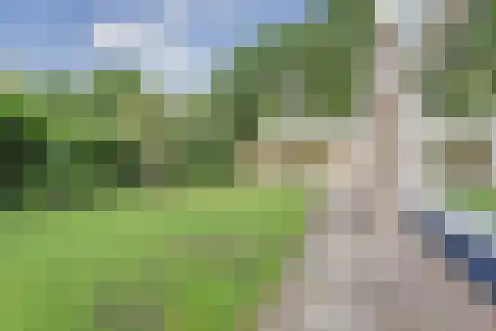 Hermelijnkwartier 68 Cuijk thumbnail 32