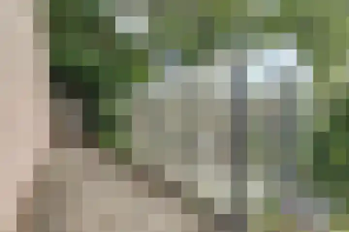 Hermelijnkwartier 68 Cuijk thumbnail 34