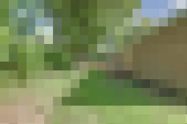 Hermelijnkwartier 68 Cuijk thumbnail 35