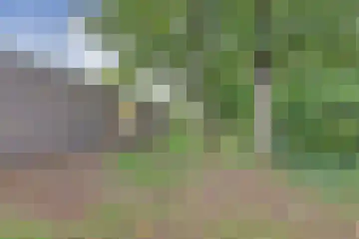 Hermelijnkwartier 68 Cuijk thumbnail 36