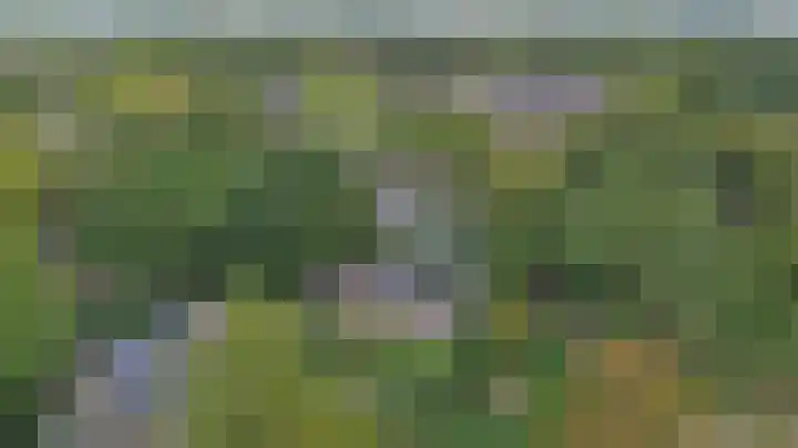 Hermelijnkwartier 68 Cuijk thumbnail 38