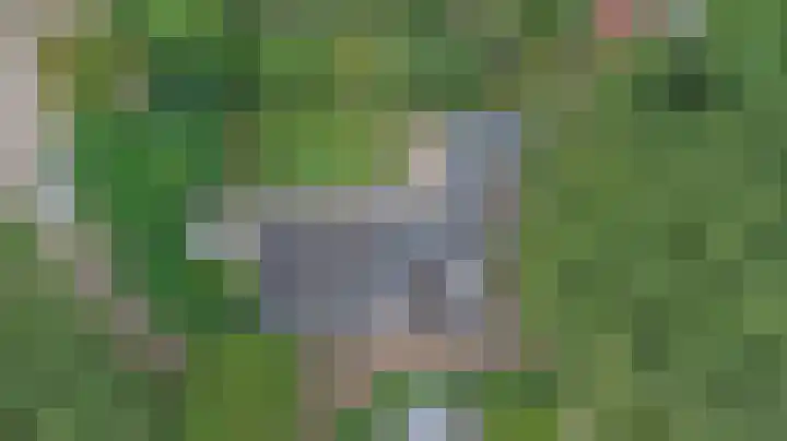 Hermelijnkwartier 68 Cuijk thumbnail 39