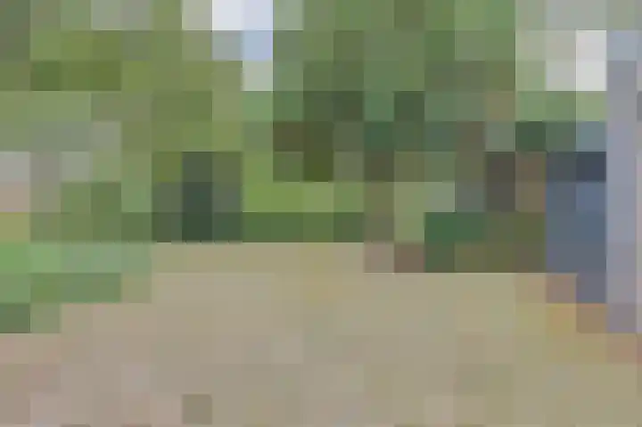 Hermelijnkwartier 68 Cuijk thumbnail 8