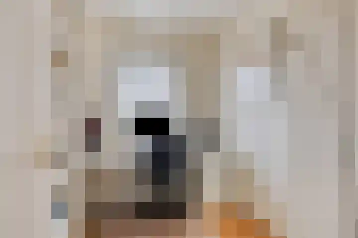 Hermelijnlaan 1 A Hilversum thumbnail 21