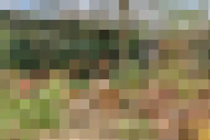 Hermelijnlaan 1 A Hilversum thumbnail 36