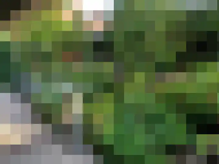 Hermelijnlaan 1 A Hilversum thumbnail 37
