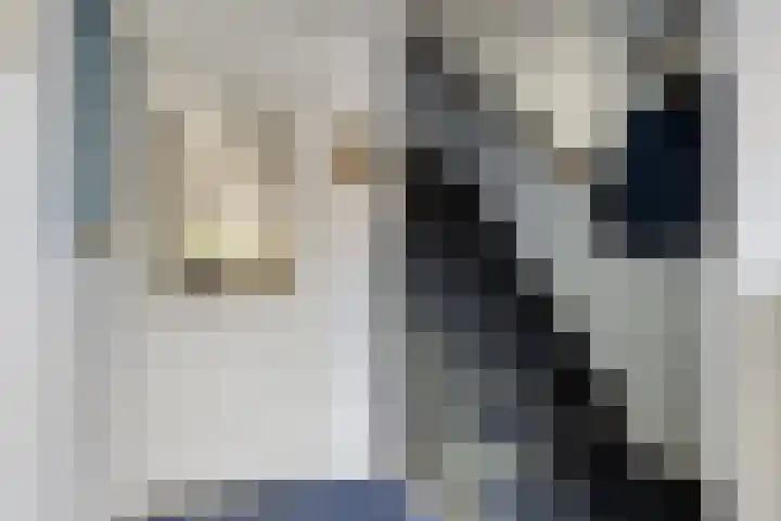 Hermelijnlaan 12 Waalre thumbnail 12