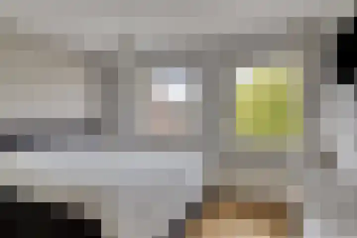 Hermelijnlaan 12 Waalre thumbnail 13