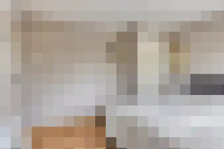Hermelijnlaan 12 Waalre thumbnail 14