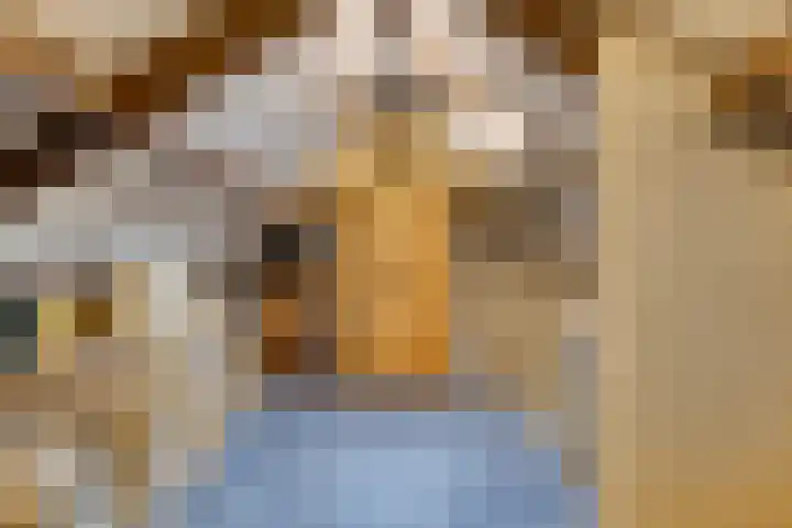 Hermelijnlaan 12 Waalre thumbnail 18