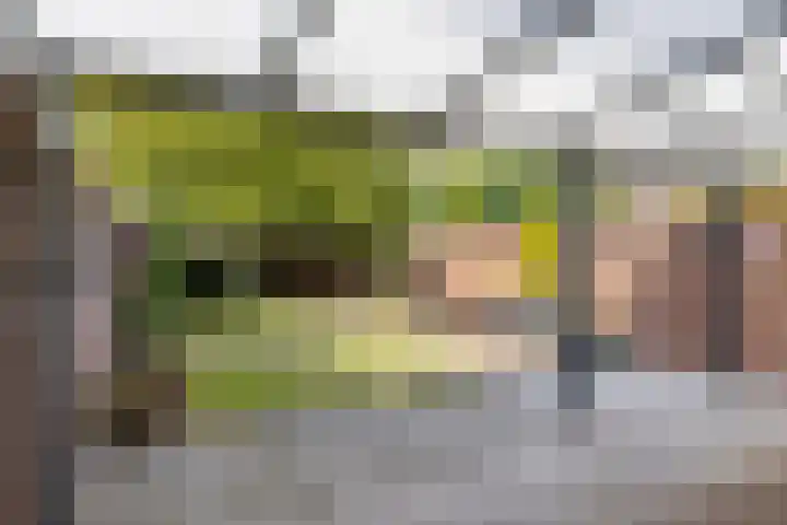 Hermelijnlaan 12 Waalre thumbnail 19