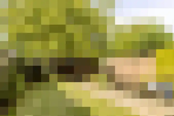 Hermelijnlaan 12 Waalre thumbnail 20