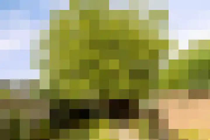 Hermelijnlaan 12 Waalre thumbnail 21