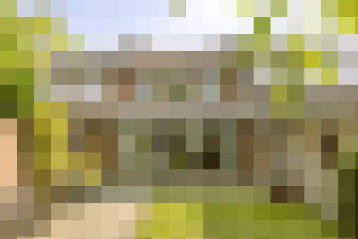 Hermelijnlaan 12 Waalre thumbnail 4
