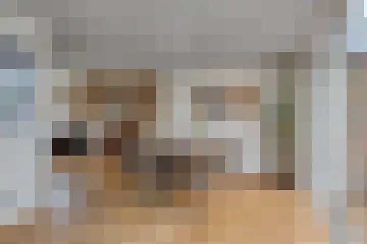 Hermelijnlaan 12 Waalre thumbnail 5