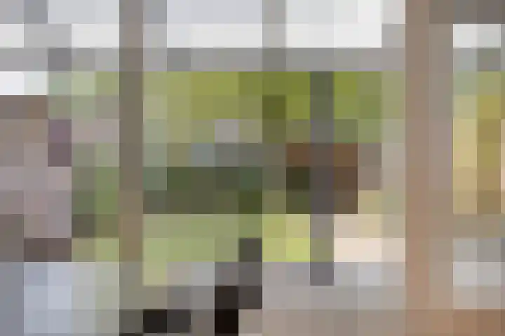 Hermelijnlaan 12 Waalre thumbnail 9