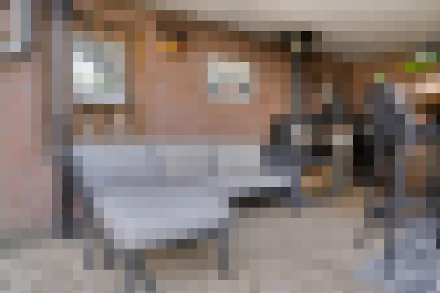 Hermelijnlaan 13 Lunteren thumbnail 39