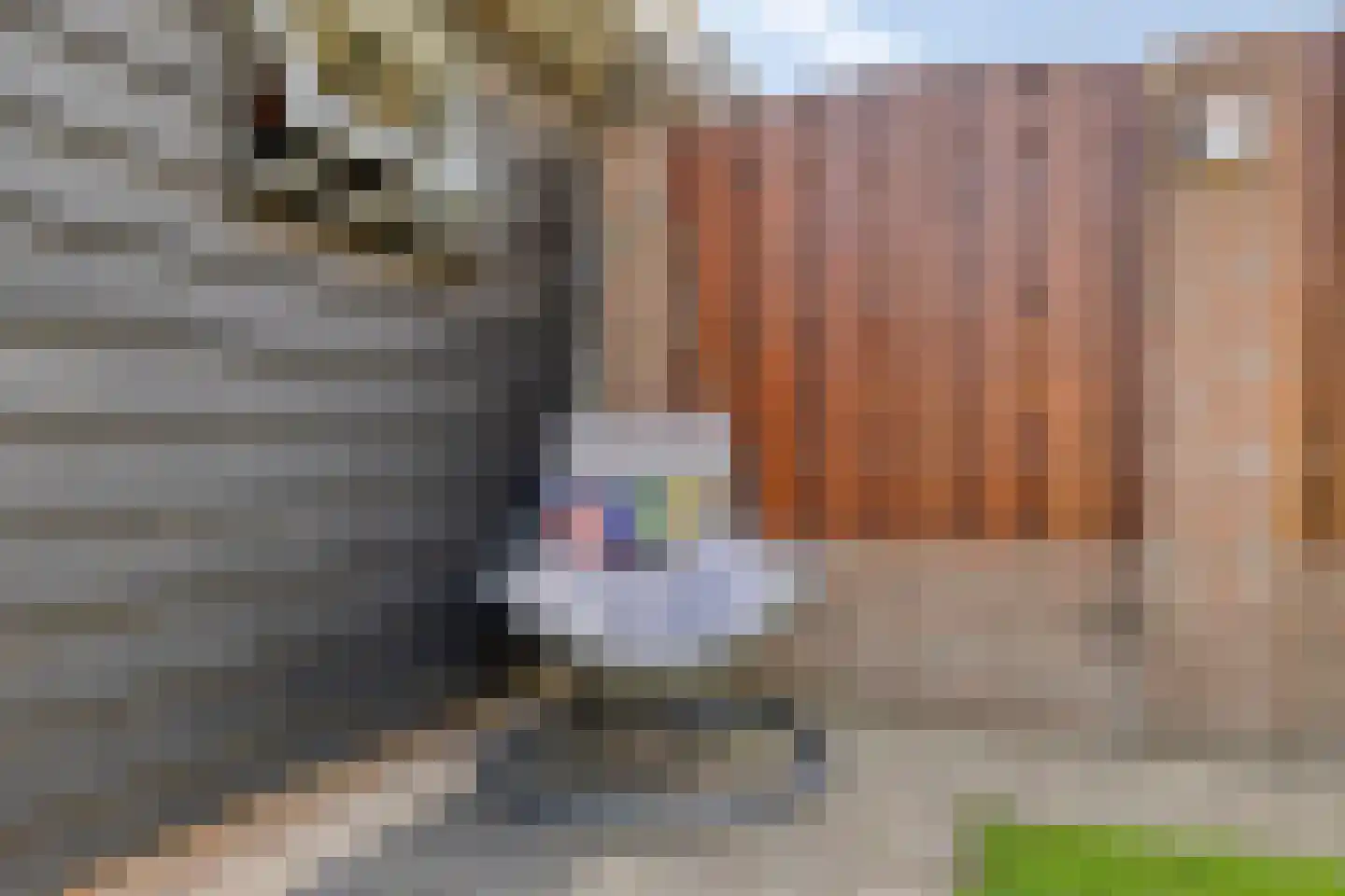 Hermelijnlaan 13 Lunteren thumbnail 40