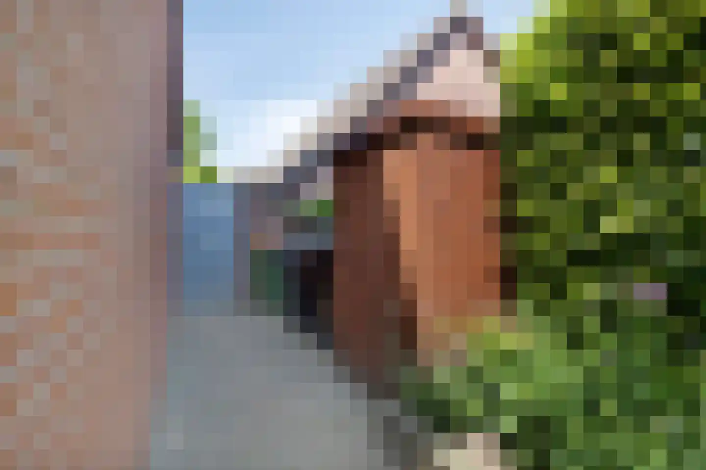 Hermelijnlaan 13 Lunteren thumbnail 42