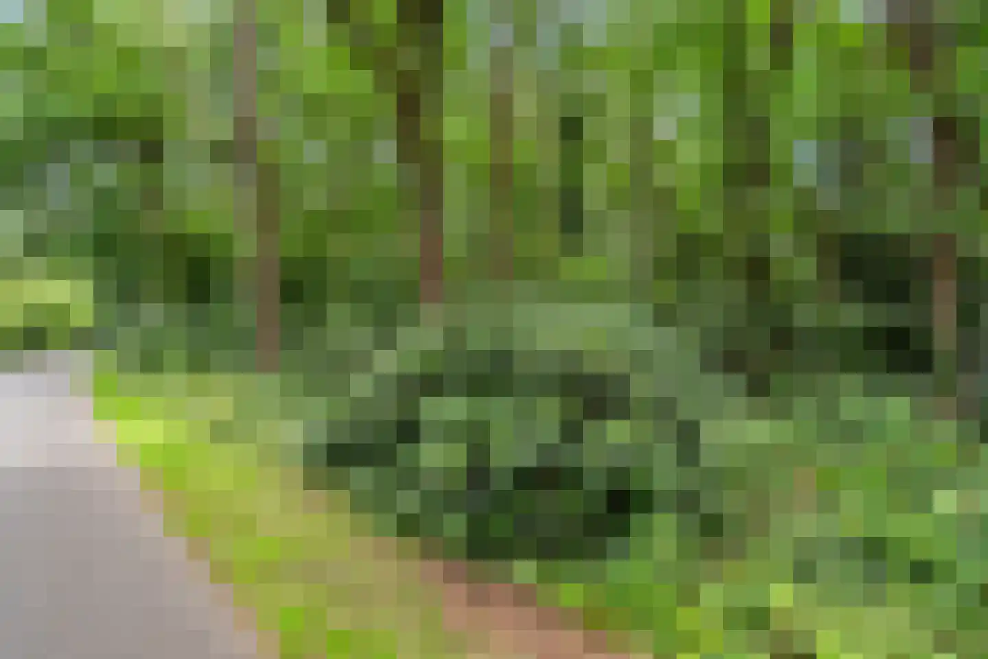 Hermelijnlaan 15 Wageningen thumbnail 10