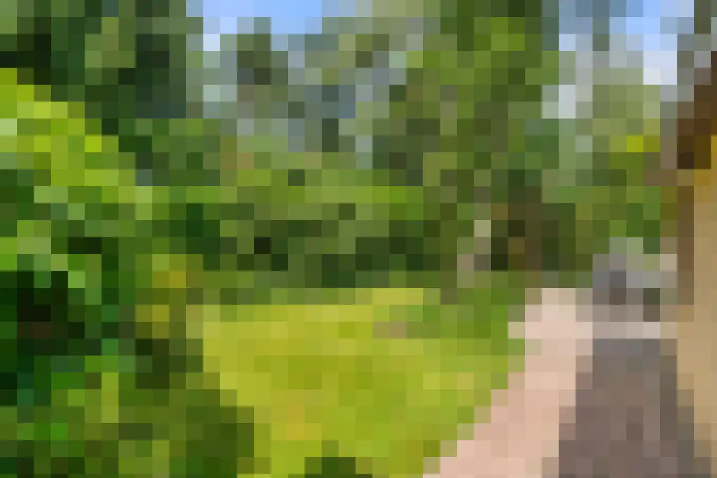Hermelijnlaan 15 Wageningen thumbnail 15