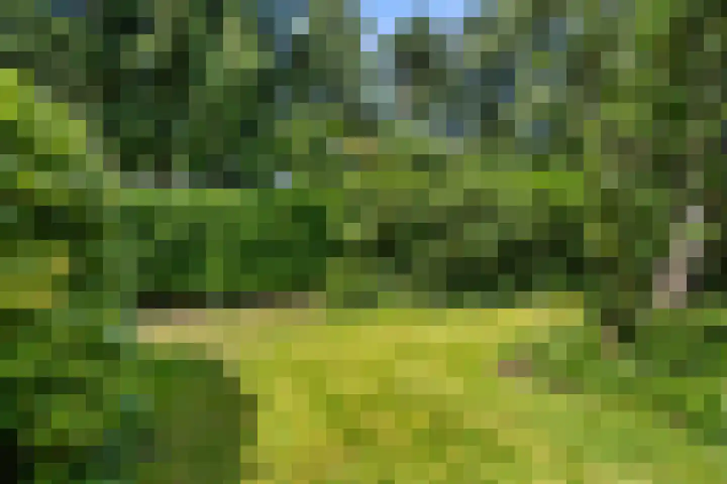 Hermelijnlaan 15 Wageningen thumbnail 16