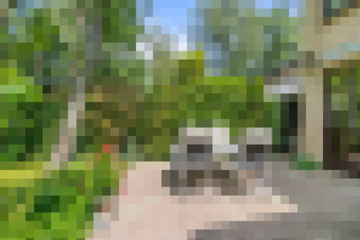 Hermelijnlaan 15 Wageningen thumbnail 17