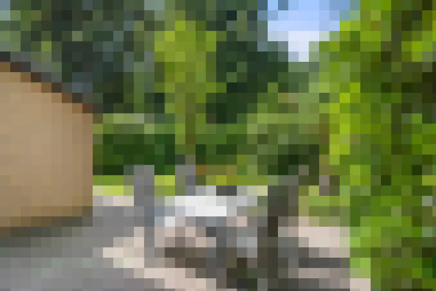 Hermelijnlaan 15 Wageningen thumbnail 18