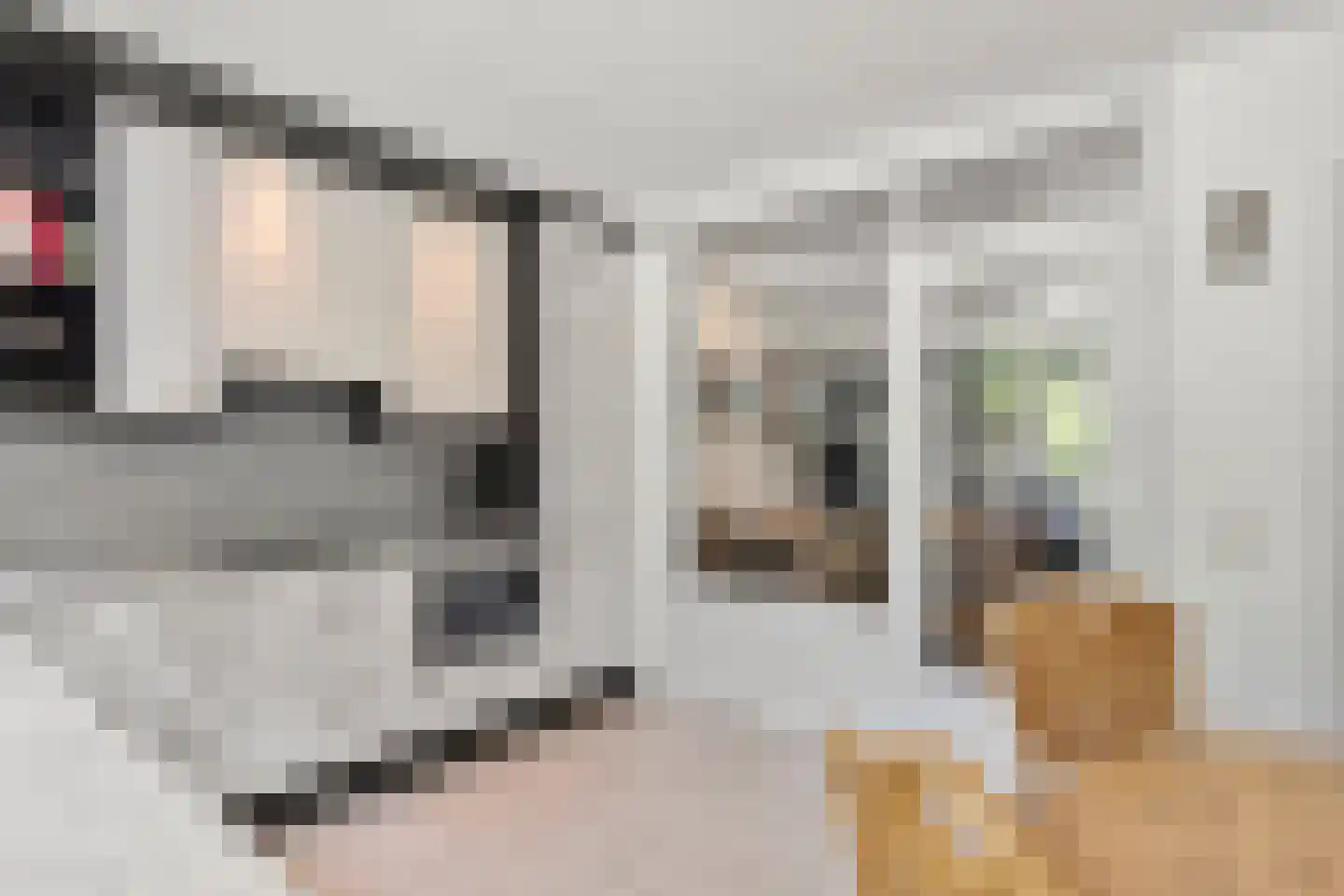Hermelijnlaan 15 Wageningen thumbnail 28