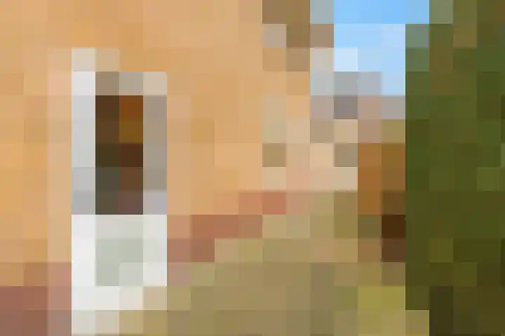 Hermelijnlaan 2 Hilversum thumbnail 53